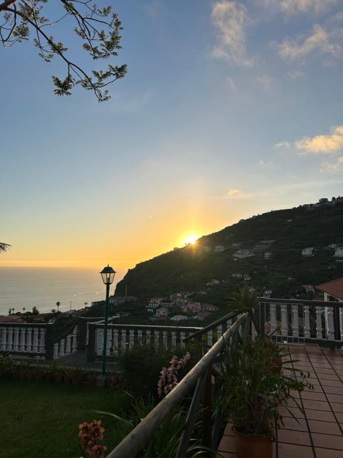 Tropical Garden Villa Arco da Calheta  Exteriör bild